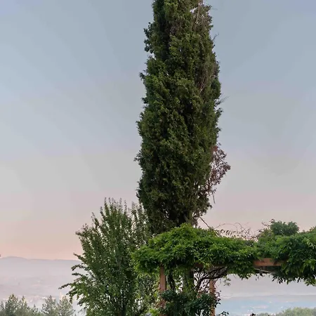 Casale Chiesina * Bibbiena